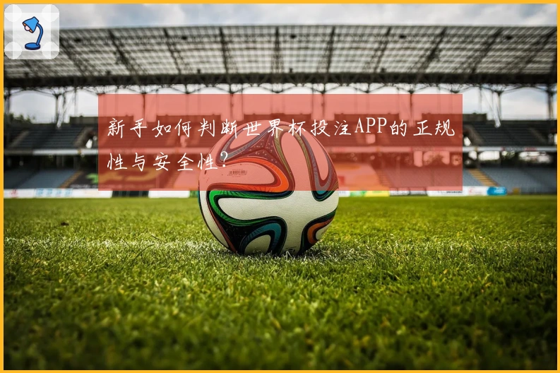 新手如何判断世界杯投注APP的正规性与安全性？