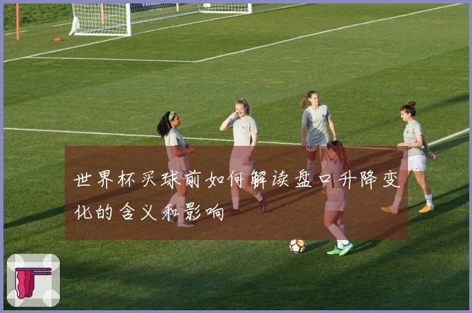 世界杯买球前如何解读盘口升降变化的含义和影响