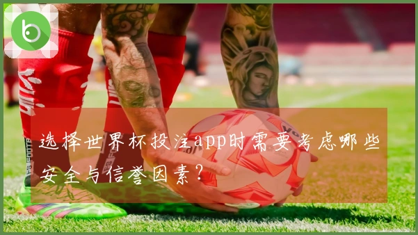 选择世界杯投注app时需要考虑哪些安全与信誉因素？