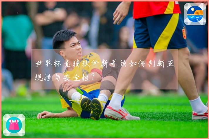 世界杯竞猜软件新手该如何判断正规性与安全性？