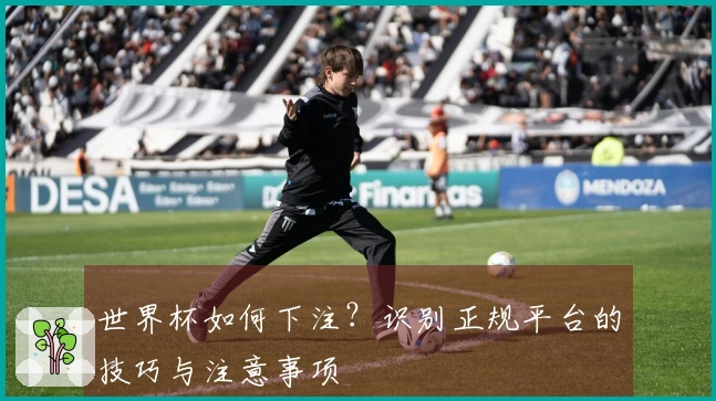 世界杯如何下注？识别正规平台的技巧与注意事项