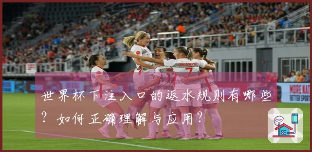 世界杯下注入口的返水规则有哪些？如何正确理解与应用？