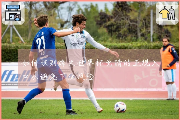 如何识别烽火世界杯竞猜的正规入口以避免下注风险