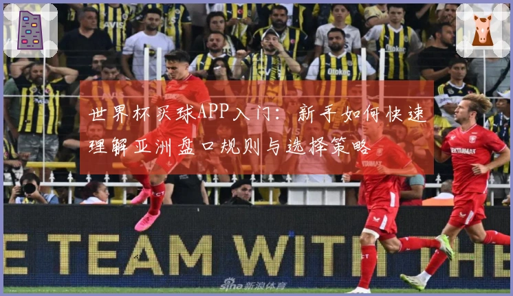 世界杯买球APP入门：新手如何快速理解亚洲盘口规则与选择策略
