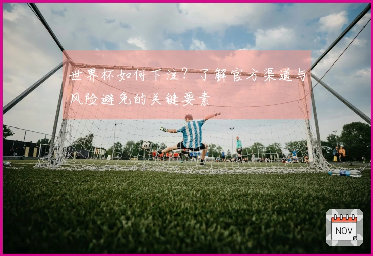 世界杯如何下注？了解官方渠道与风险避免的关键要素