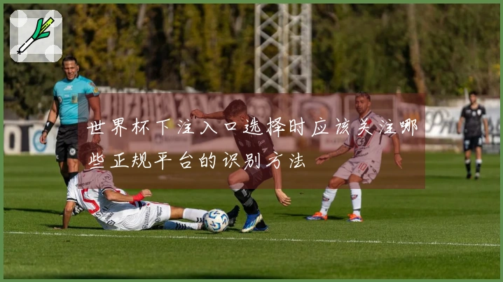 世界杯下注入口选择时应该关注哪些正规平台的识别方法