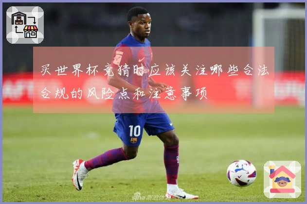 买世界杯竞猜时应该关注哪些合法合规的风险点和注意事项