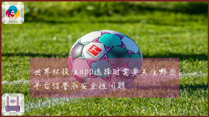 世界杯投注app选择时需要关注哪些平台信誉和安全性问题