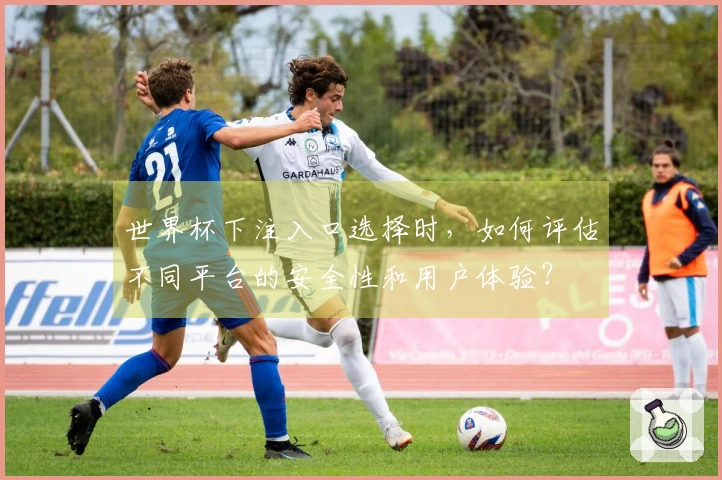 世界杯下注入口选择时,如何评估不同平台的安全性和用户体验?