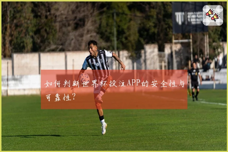 如何判断世界杯投注APP的安全性与可靠性？