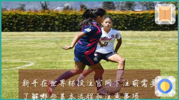 新手在世界杯投注官网下注前需要了解哪些基本流程和注意事项