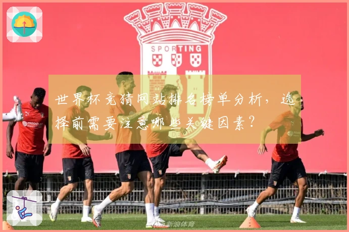 世界杯竞猜网站排名榜单分析，选择前需要注意哪些关键因素？